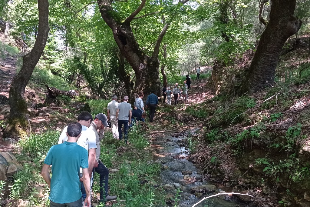 Adıgüzel ve Kemer Barajları Sulamaları Yenileme Planlama Mühendislik Hizmetleri İşi.